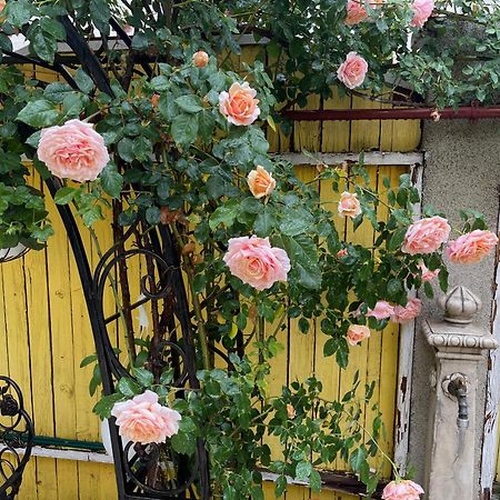 Luxurious Villa With Lush Garden And Huge Terrace Near Herastrau Park Bucureşti Exterior foto